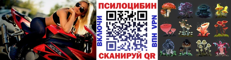 Галлюциногенные грибы GOLDEN TEACHER  где продают   Нальчик 